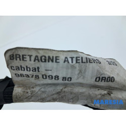 Opel - Crossland X - Battery sensor