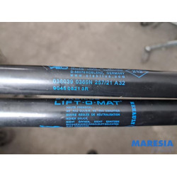 Renault - Clio - Set Gasdämpfer Heckklappe