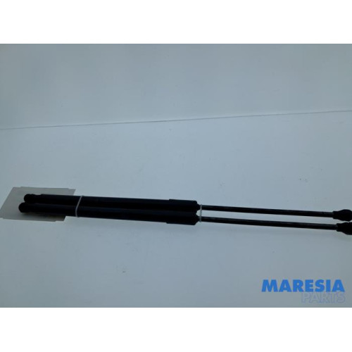 Renault - Clio - Set of tailgate gas struts