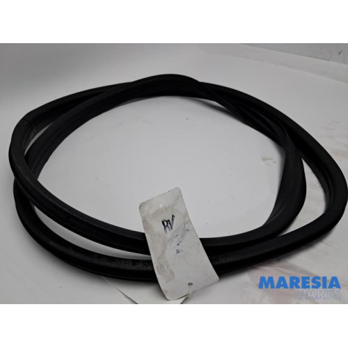 Renault - Clio - Front door seal 4-door, right
