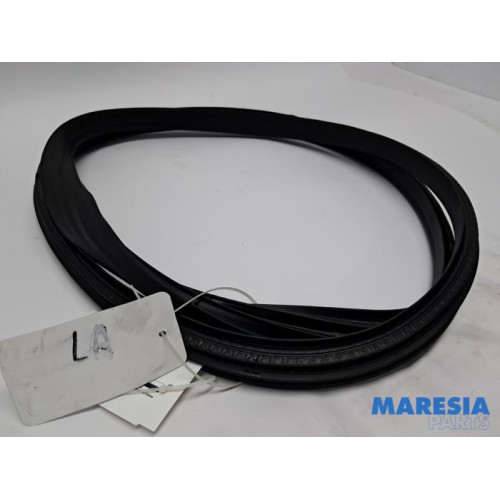 Renault - Clio - Rear door seal 4-door, left