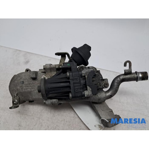 Peugeot - Expert - EGR Klep