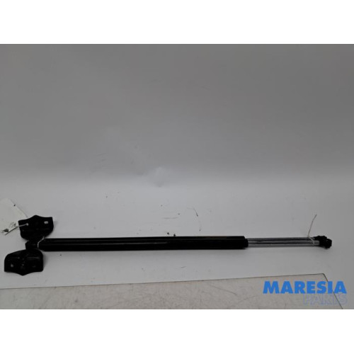 Peugeot - Expert - Set of tailgate gas struts