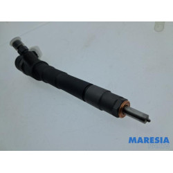 Fiat - Ducato - Injector (diesel)