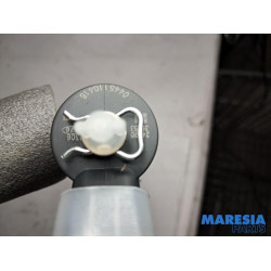Fiat - Ducato - Injector (diesel)
