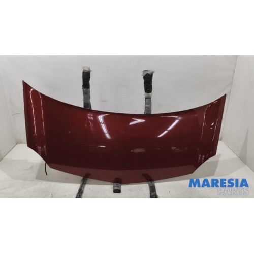 Renault - Kangoo - Bonnet