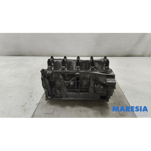 Renault - Arkana - Motor Unterblock