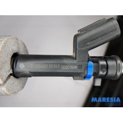 Renault - Arkana - Injector (benzine injectie)