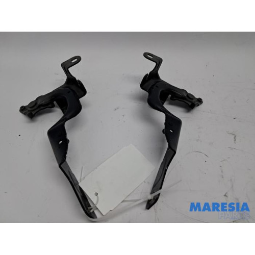 Renault - Captur - Bonnet Hinge