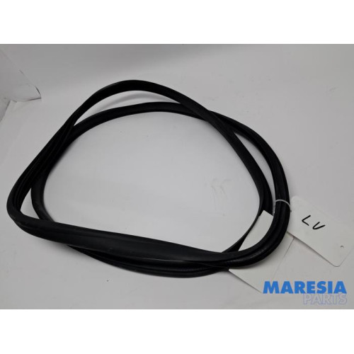 Renault - Captur - Front door seal 4-door, left
