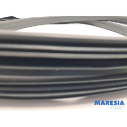 Renault - Captur - Front door seal 4-door, right