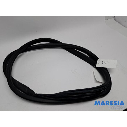 Renault - Captur - Front door seal 4-door, right