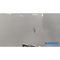 Peugeot - Boxer - Minibus/van rear door