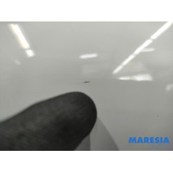 Renault - Clio - Front door 4-door, right
