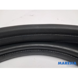 Renault - Kangoo - Front door seal 4-door, left