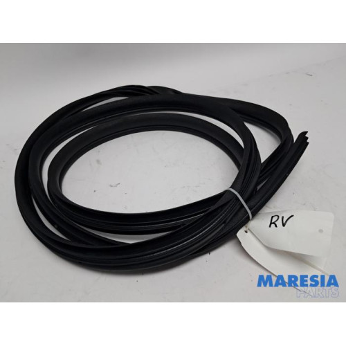 Renault - Kangoo - Front door seal 4-door, right