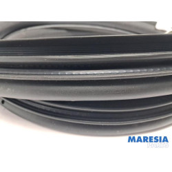 Renault - Kangoo - Portierrubber 4Deurs rechts-achter