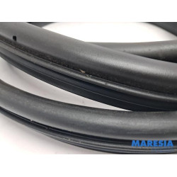 Renault - Kangoo - Rear door seal 4-door, left