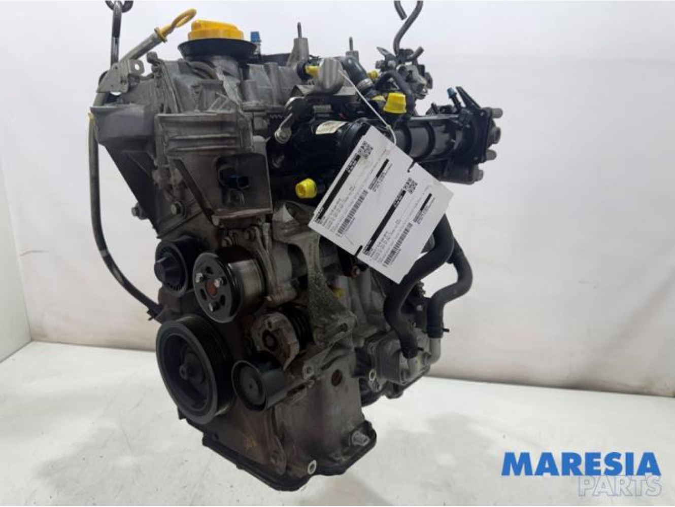Renault - Clio - Motor