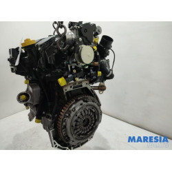 Renault - Kangoo - Motor