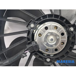 Renault - Kangoo - Kühlgebläse Motor
