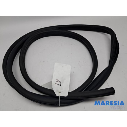 Renault - Kangoo - Portierrubber 4Deurs links-voor