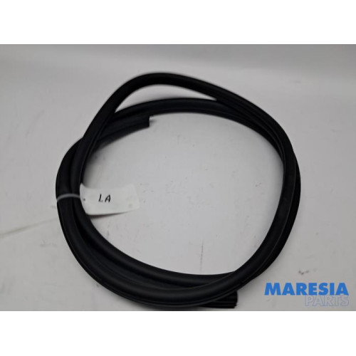 Renault - Kangoo - Rear door seal 4-door, left