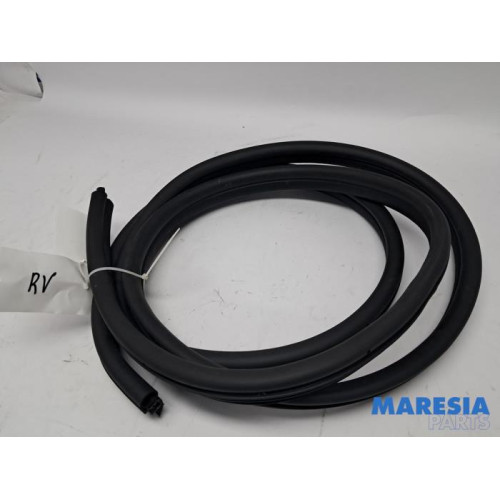Renault - Kangoo - Front door seal 4-door, right