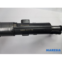 Peugeot - 3008 - Injector (petrol injection)