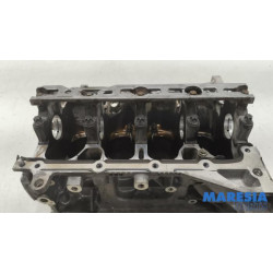 Renault - Captur - Motor Unterblock