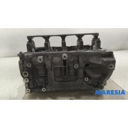 Renault - Captur - Motor Unterblock