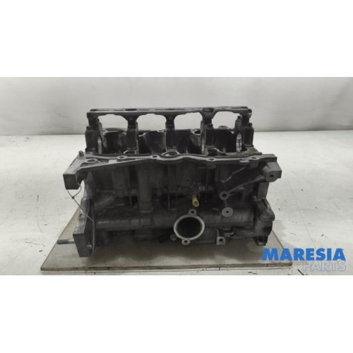 Renault - Captur - Motor Unterblock