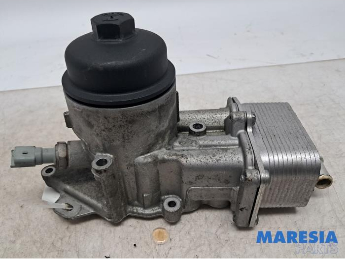Peugeot - 307 - Oil filter holder
