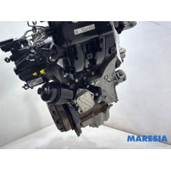 Fiat - Panda - Motor