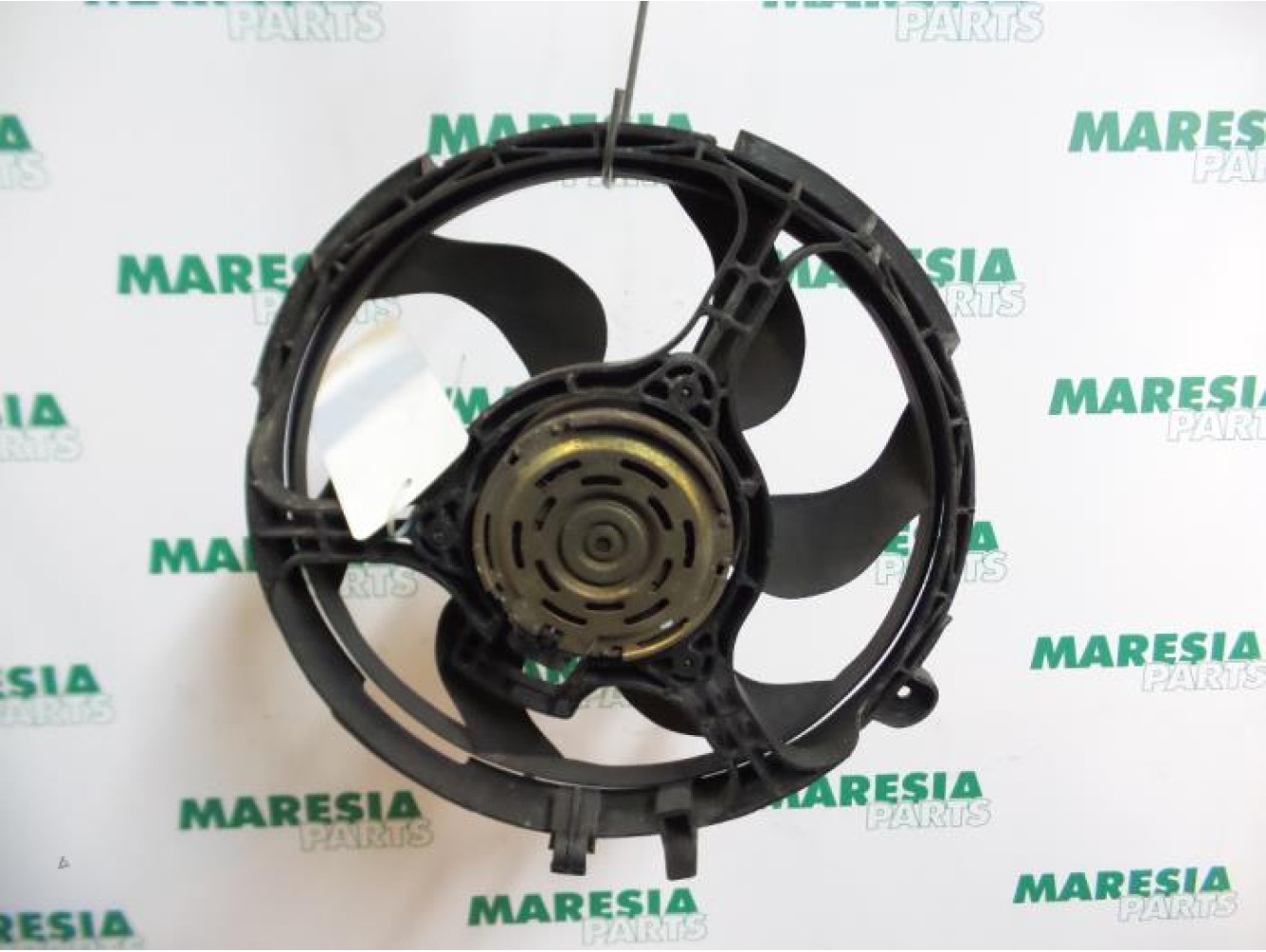 Fiat - Stilo - Fan motor