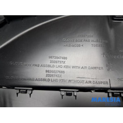 Peugeot - 208 - Glovebox