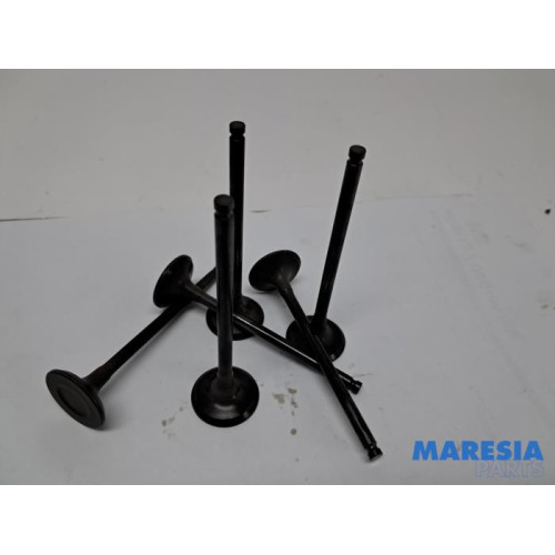 Peugeot - 208 - Exhaust valve