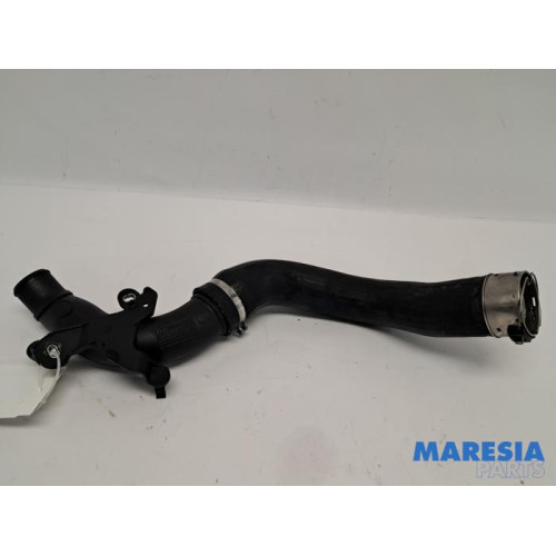 Renault - Clio - Intercooler Schlauch