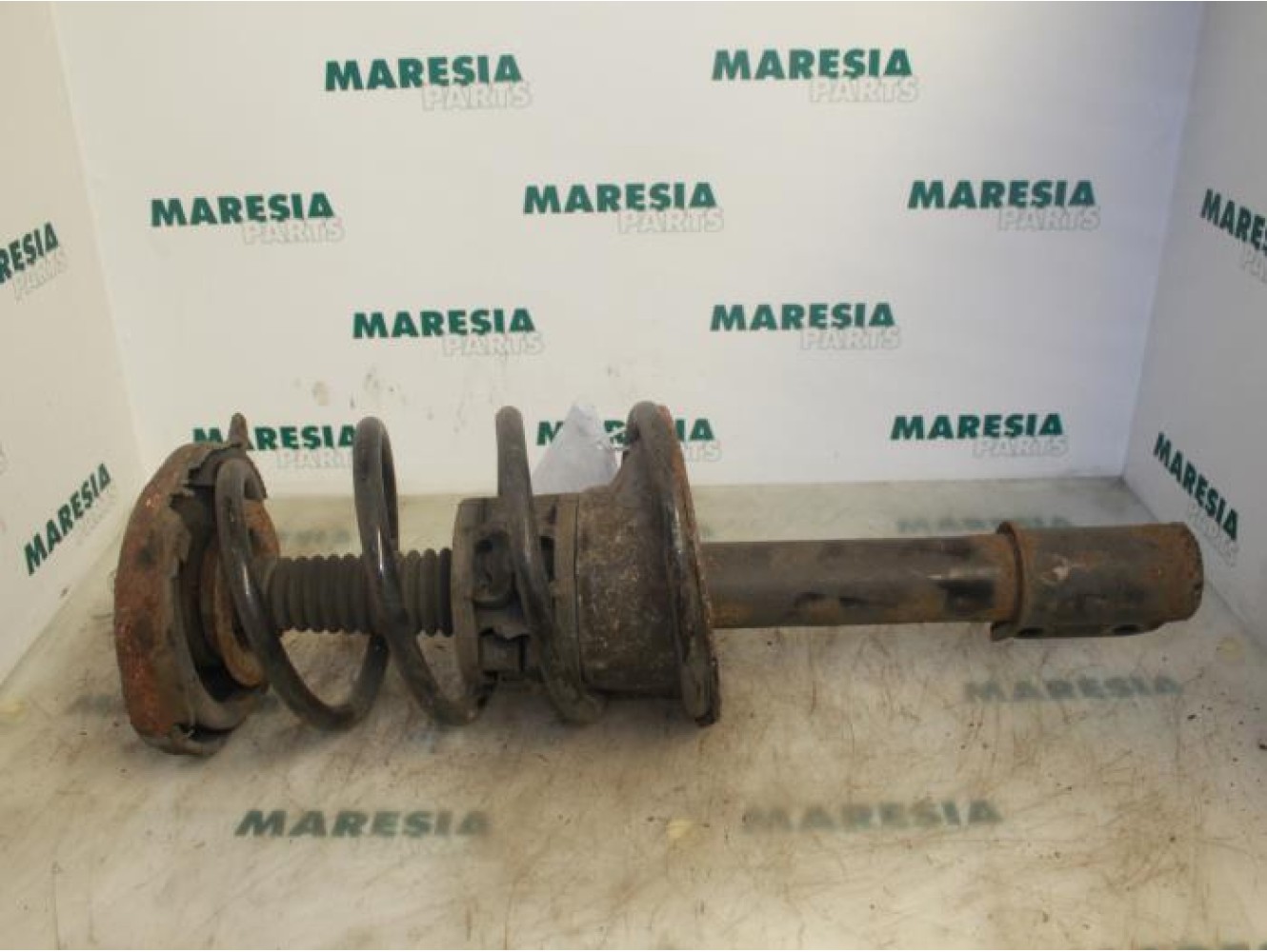 Renault - Megane Scenic - Front shock absorber rod, right