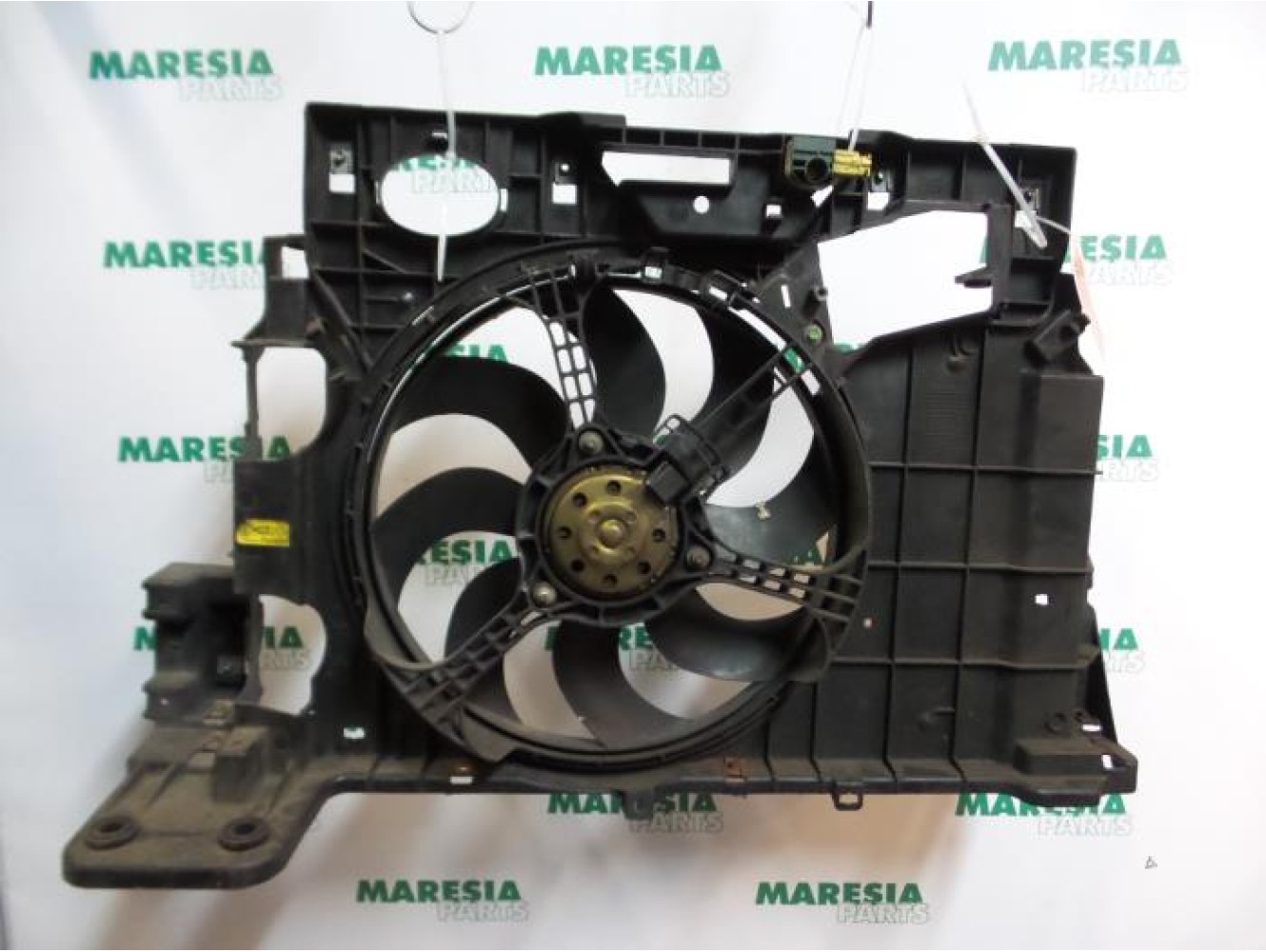 Fiat - Stilo - Koelvin Motor