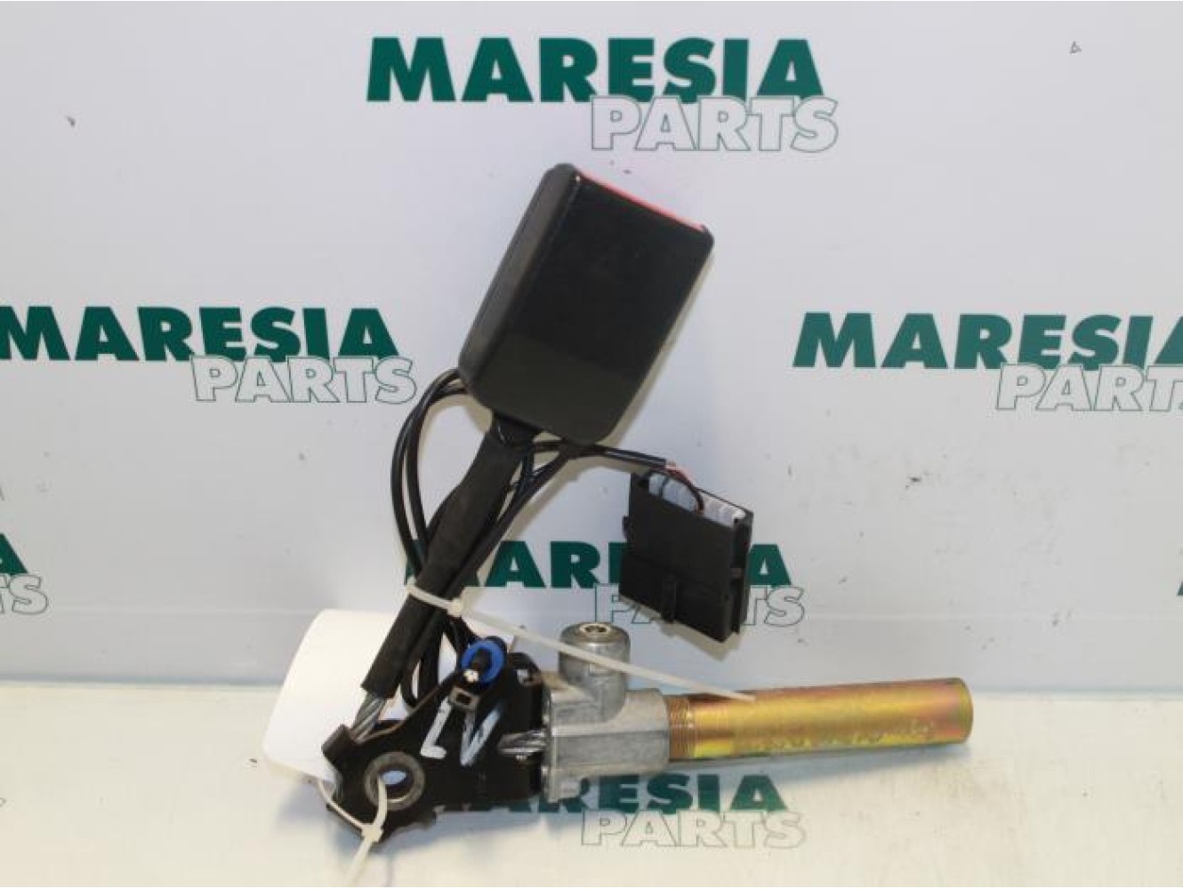 Renault - Megane Scenic - Gordelspanner links