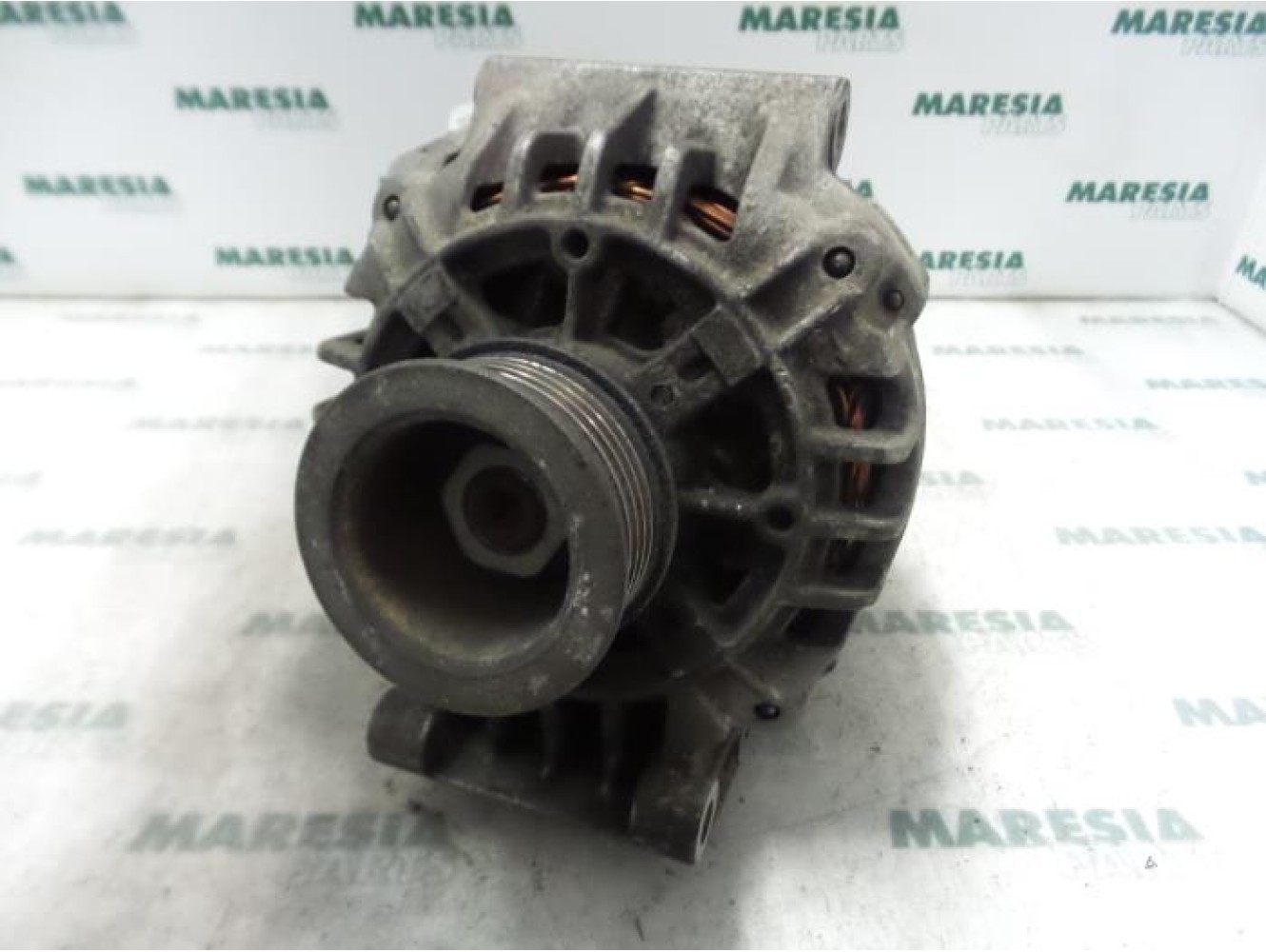 Renault - Megane Scenic - Dynamo