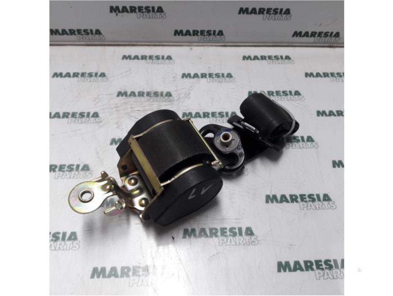 Renault - Megane Scenic - Sicherheitsgurt links vorne