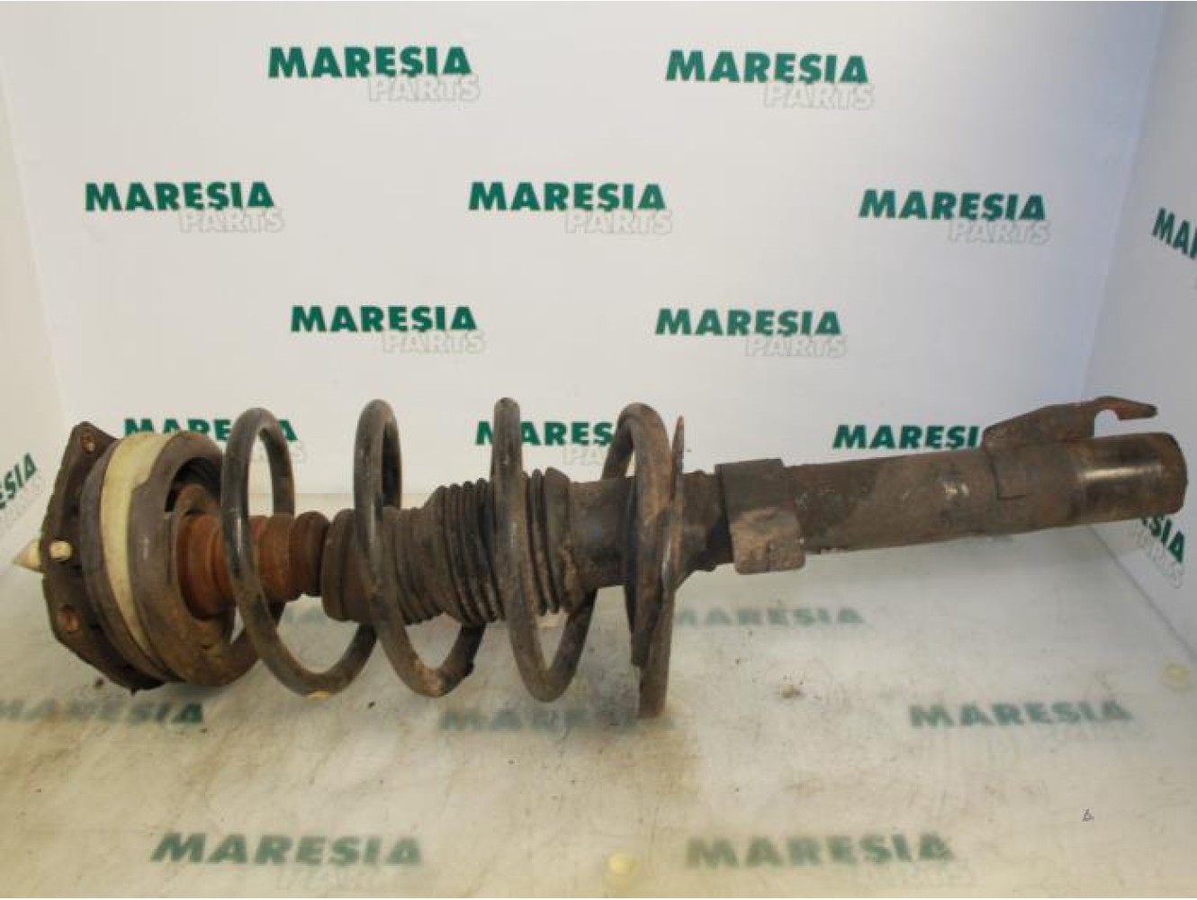 Renault - Megane Scenic - Front shock absorber rod, right