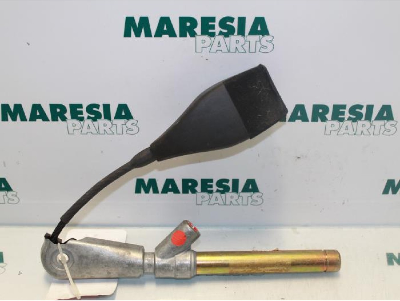 Renault - Megane Scenic - Gordelspanner links