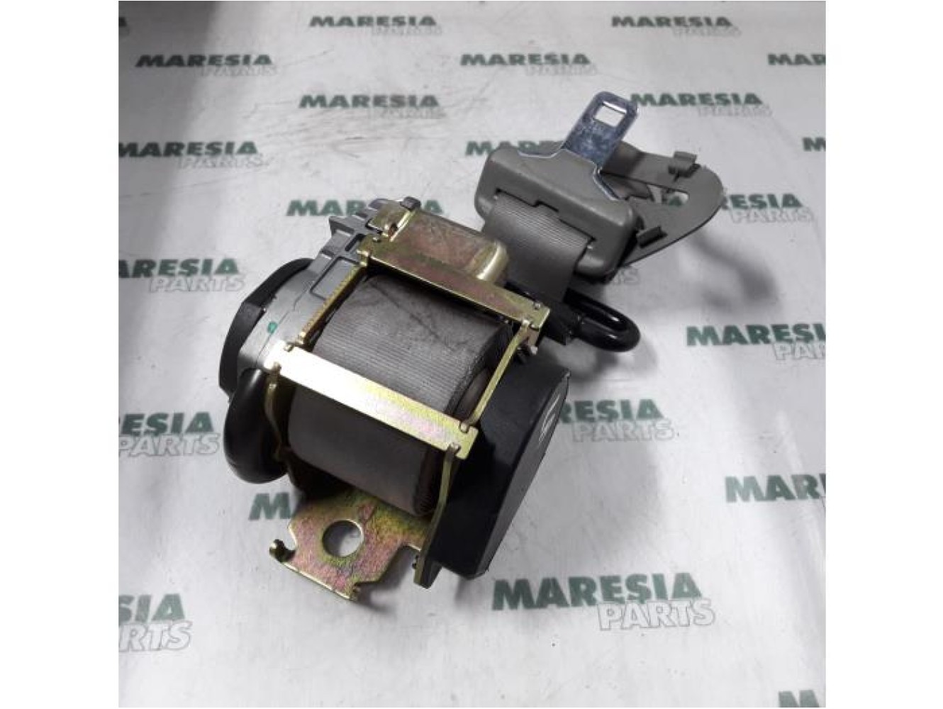 Renault - Megane Scenic - Sicherheitsgurt links hinten