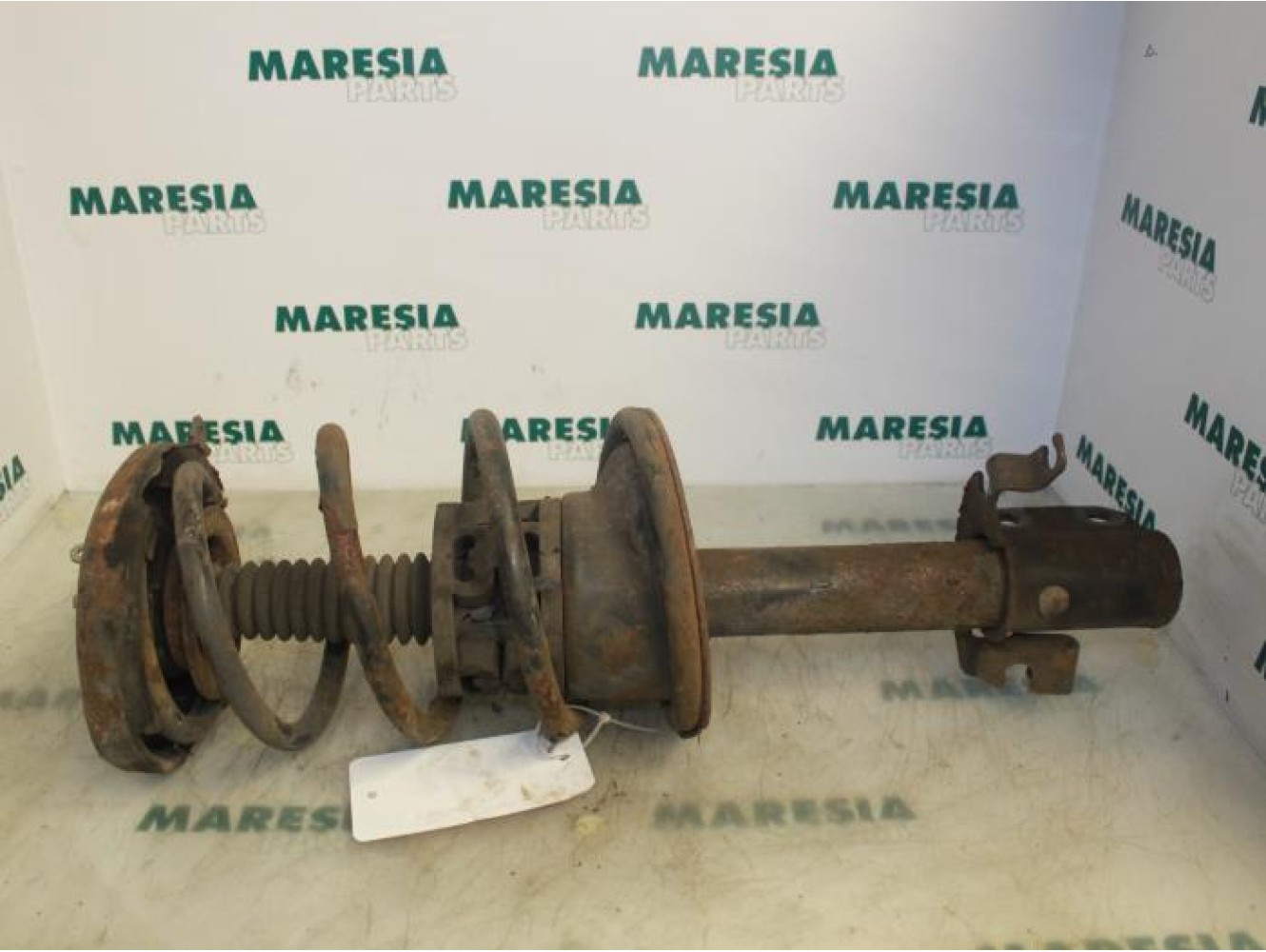 Renault - Megane Scenic - Front shock absorber rod, right