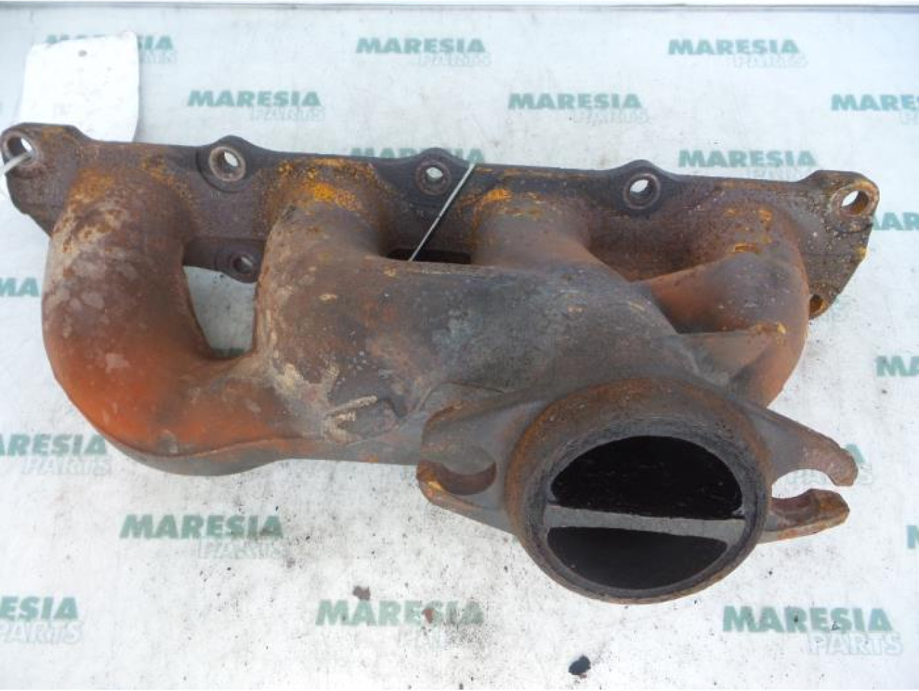 Citroen - Xantia - Exhaust manifold