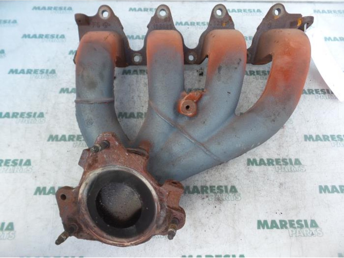 Renault - Megane - Exhaust manifold