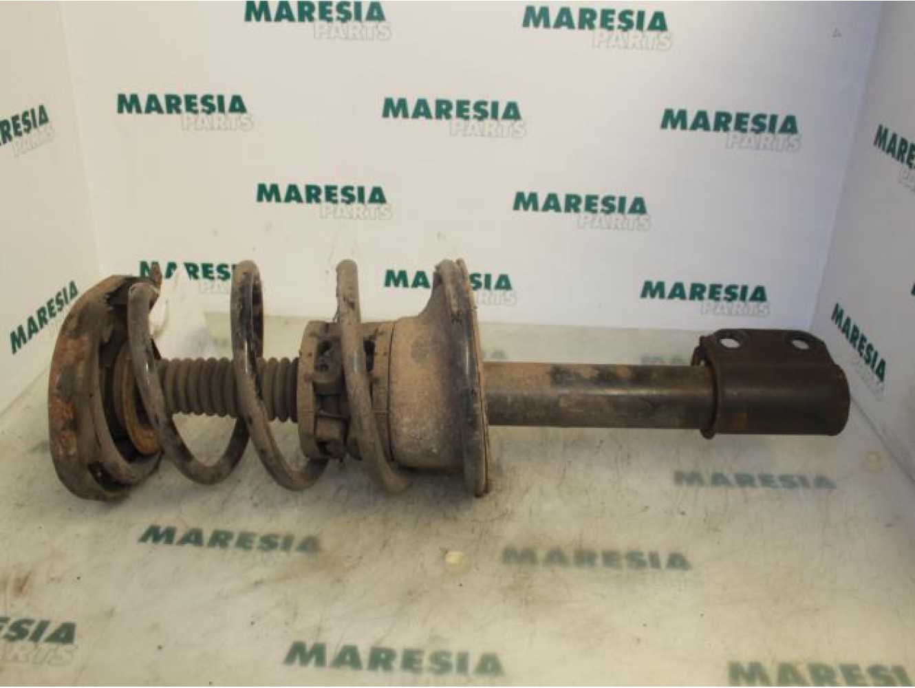 Renault - Megane Scenic - Front shock absorber rod, right